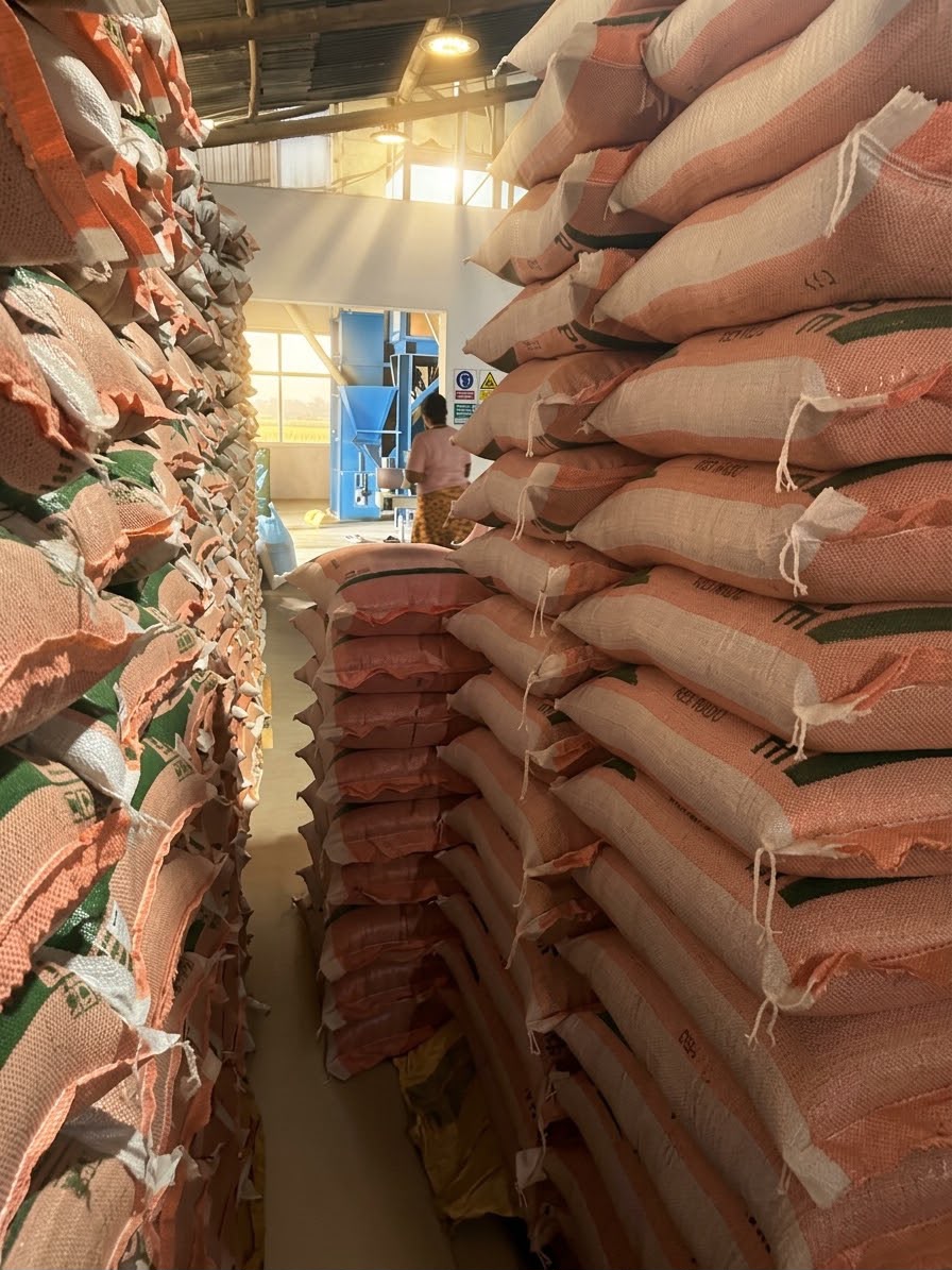 Rice Packaging